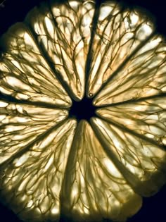 a close up view of the inside of a grapefruit