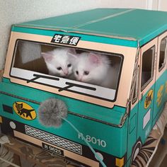 two white kittens sitting in the window of a green truck painted to look like a bus