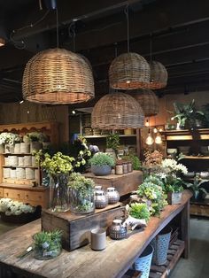 a bunch of plants that are sitting on a table in front of some baskets and lights