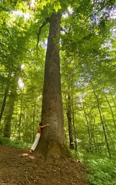 a person leaning against a tree in the woods