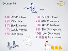 the words are written in different languages and have pictures of birds on them with chinese characters