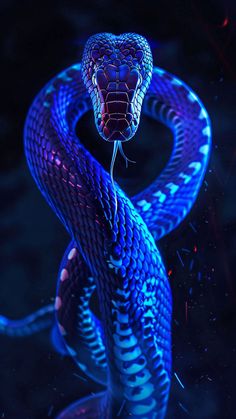 a blue and black snake with it's head turned to the side, in front of a dark background