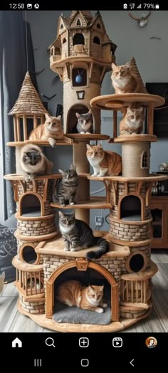 several cats are sitting on top of a cat tree house that is made out of wood