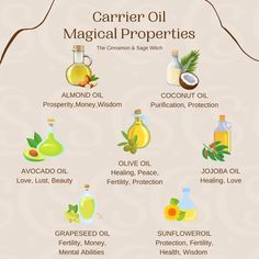 Carrier Oils Magical Properties, Fertility Oils Witchcraft, Castor Oil Magical Properties, Oil Magic Witchcraft, Coconut Oil Magical Properties, Olive Oil Magical Properties, Grounding Oil Witchcraft, Fertility Candle Spell, Olive Oil Witchcraft