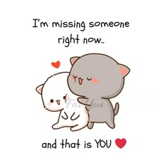 two cats hugging each other with the caption i'm missing someone right now and that is you