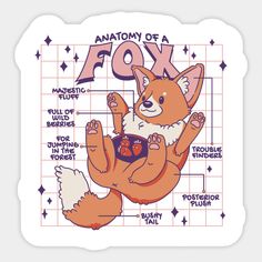 the anatomy of a fox with an image of its paws on it's chest