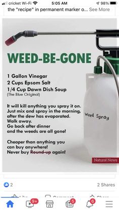 Kill Grass, Kill Weeds Naturally, Organization Binder, Garden Landscaping Diy, Garden Remedies, Homemade Cleaning Solutions, Homemade Cleaning