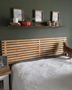 a cat sitting on top of a bed next to two shelves above the headboard