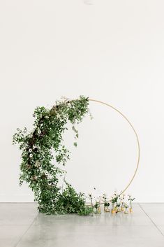 a circle with flowers and greenery on the floor in front of a white wall