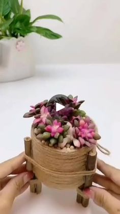 two hands are holding a small wooden box with flowers in it on a white table