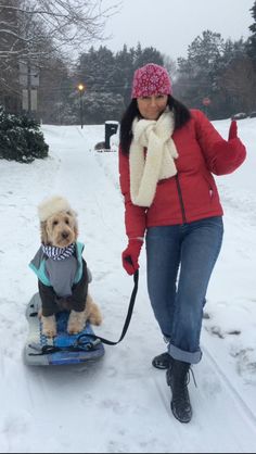 a woman is pulling a dog on a sled