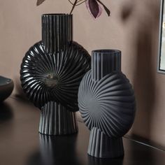 two black vases sitting on top of a table next to a plant in a vase