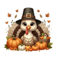 a turkey wearing a pilgrim hat surrounded by pumpkins and gourds on a white background