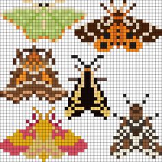 a cross stitch pattern with different types of birds and moths on it's sides