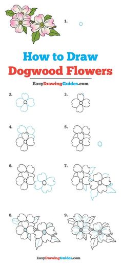 how to draw dogwood flowers with easy drawing guides on the appliance page