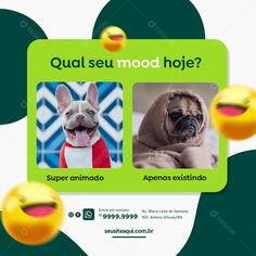 an advertisement with two dogs on it for the spanish language website, qual seu moo hoje?