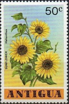 a postage stamp with sunflowers on it