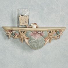 a shelf with shells and seashells on it