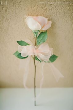 a single white rose with some green leaves