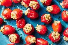 tomatoes with cheese and herbs on a blue plate, ready to be cooked in the oven