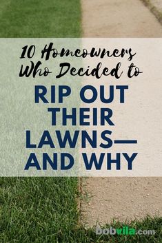 grass with the words 10 homesowners who decided to rip out their lawns and why