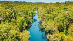 an aerial view of a river surrounded by trees