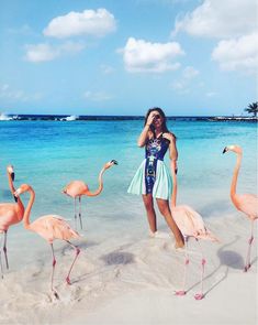 a woman standing in the sand next to flamingos on a beach with blue water