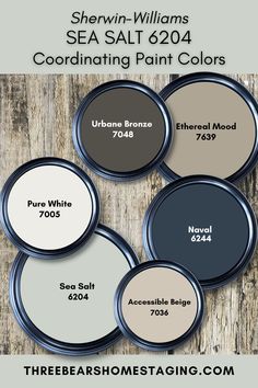 sherylin williams's sea salt paint colors are available in four different shades