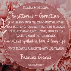 flowers and the zodiac sign for sagitritus - carnations are important