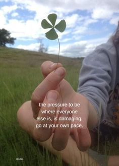 a person holding a four leaf clover in their hand with the caption, the pressure to be where everyone else is, is damageing go at your own place