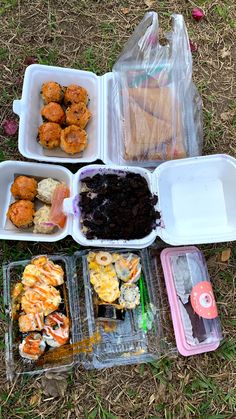 several plastic containers filled with food on the ground