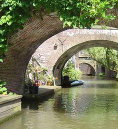 an arched brick bridge over a canal with trees growing on the sides and water below