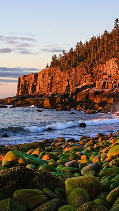 a rocky beach with lots of green rocks and trees on the shore near water's edge