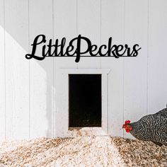 a chicken standing in front of a white building with the word freeloaders written on it