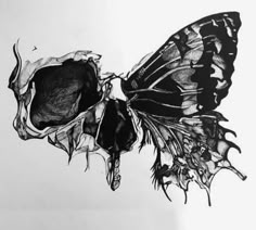 a black and white drawing of a butterfly on a piece of paper with the wings open