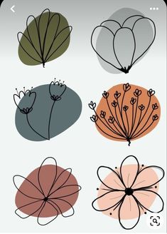 four different colored flowers are shown in this screen shot, one is black and the other is white