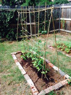 the garden is ready to be planted and put into the ground with some kind of trellis