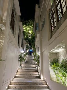 the stairs lead up to an apartment building at night with lights on and plants in pots