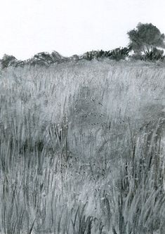 a black and white drawing of a grassy hill