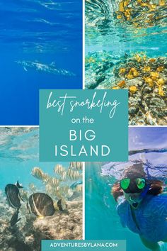 the best snorking on the big island is one of the most fun things to do