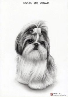 a black and white drawing of a dog with a bow on it's head