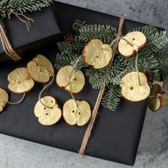 some apples are tied to twine and placed on a black plate with pine branches