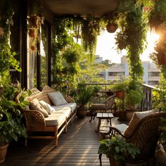 the sun shines through plants and potted plants on an outdoor porch with wicker furniture