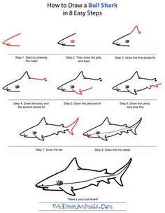 how to draw a shark in 8 easy steps step by step instructions for children and adults