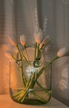 Moody orange lighting of a bouquet of white tulips in a clear vase that looks like a purse. White Tulip Aesthetic, Flower Vase Decorating Ideas, Vases Aesthetic, Tulip Aesthetic, Vase Aesthetic, Tulips Arrangement, Home Decor Aesthetic, Clear Vase, Salt Lamp