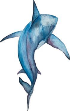 a painting of a blue shark on a white background