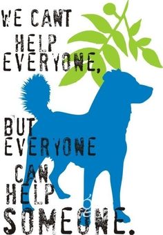 a blue poodle standing in front of a plant with the words we can't help everyone, but everyone can help someone