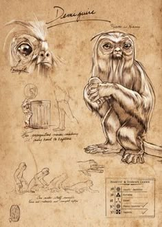 a drawing of an owl and other animals