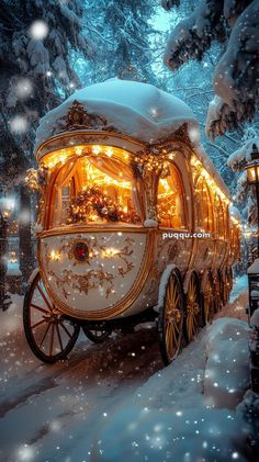 a horse drawn carriage in the snow with christmas lights on it's roof and windows