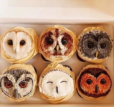 six donuts in a box with different designs and eyes on them, all decorated to look like owls